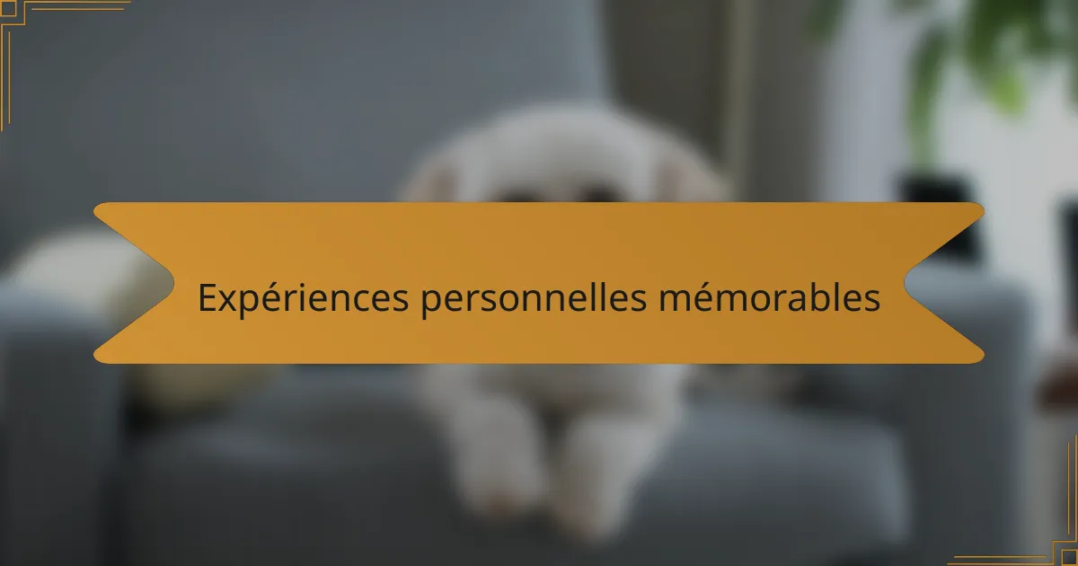 Expériences personnelles mémorables