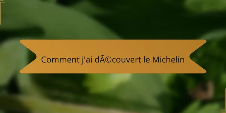 Comment j’ai découvert le Michelin