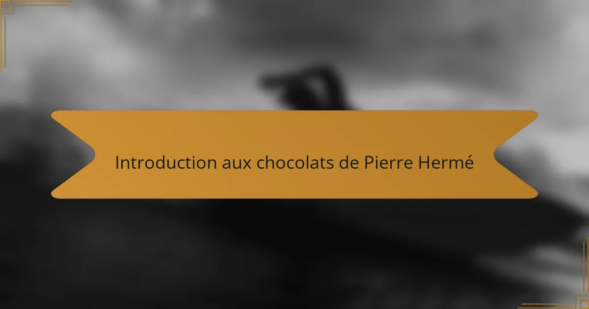 Introduction aux chocolats de Pierre Hermé