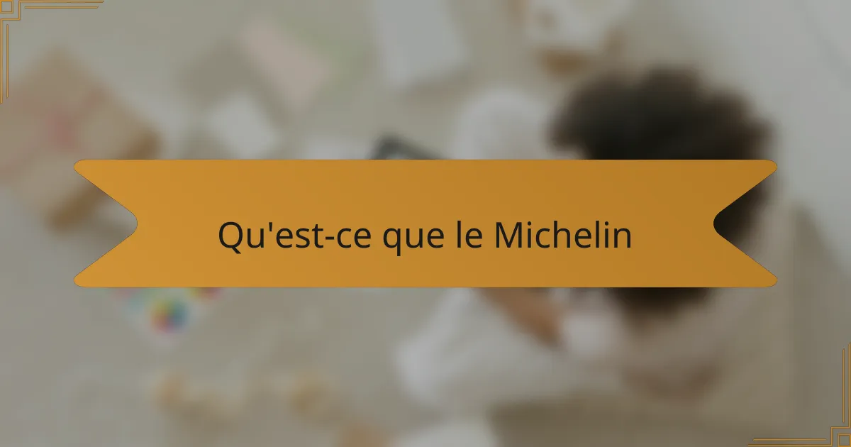 Qu'est-ce que le Michelin