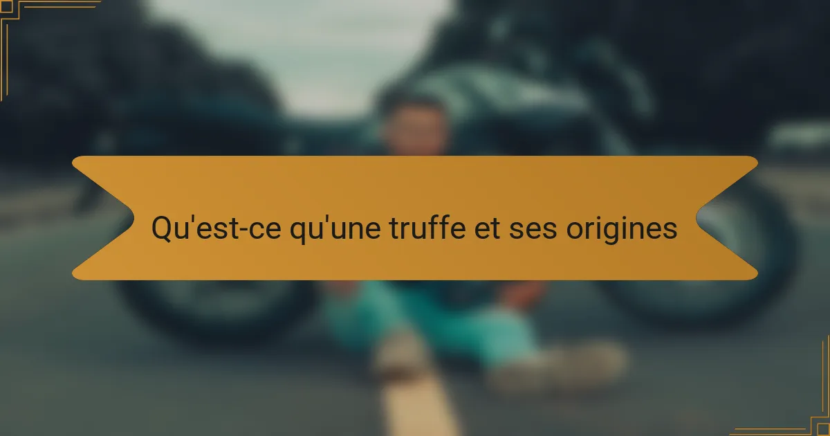 Qu'est-ce qu'une truffe et ses origines