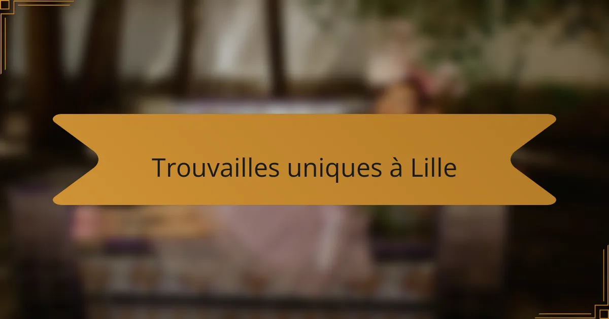 Trouvailles uniques à Lille